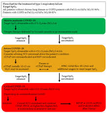 Image result for Moderate Flow Oxygen