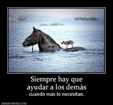  solidaridad con los demás