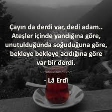 Cayin Da Derdi Var Dedi Adam Atesler Icinde Yandigina Gore Unutuldugunda Soguduguna Gore Bekleye Bekle Ozlu Sozler Alinti Sozler Ilham Verici Alintilar