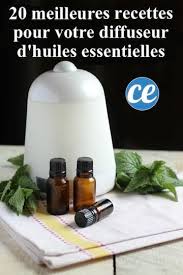 20 Recettes Pour Diffuseur D Huiles Essentielles Que Vous Allez A Do Rer Huiles Essentielles Diffuseur Huile Essentielle Huiles Essentielles Maison