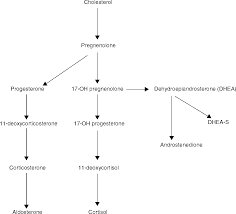 Maybe you would like to learn more about one of these? Perioperative Care Of Patients With Endocrine Disease Section 1 Core Topics In Endocrinology In Anaesthesia And Critical Care