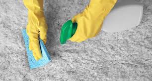 If you try this magical deodorizer, be hi tessa, love this because it's eco friendly. Top 15 Best Carpet Deodorizers To Buy 2021