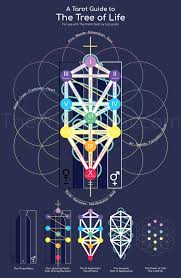 In addition, many people use trees for landscaping, so it's beneficial to know what species to look for wh. The Tree Of Life Prism Divination
