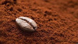 Le Marc De Cafe Est Une Source Inepuisable D Astuces Tres Pratiques Pour La Maison Mais Encore Faut Il Savoir Commen Marc De Cafe Grain De Cafe Gommage Au Cafe
