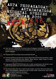 Perlindungan sengit landak dari predator | flora dan fauna indonesiahallo, sahabat flora dan fauna indonesia, sahabat pasti tahu, hewan yang berduri dan. Akta Jabatan Perhilitan Semenanjung Malaysia Facebook