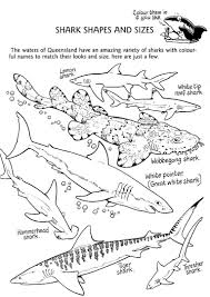 Coloring Rocks Shark Coloring Pages Types Of Sharks Shark Facts
