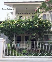 Untuk memperindah balkon, kamu dapat menerapkan tanaman ini dengan cara digantung. 6 Tanaman Hias Outdoor Ini Bikin Taman Rumah Makin Indah Dan Menyenangkan Homeshabby Com Design Home Plans Home Decorating And Interior Design