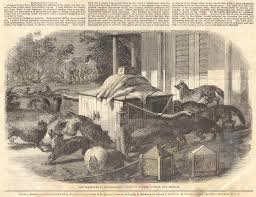 bungalows during british rule of india ...