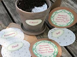 Make plantable seed paper cards. How To Make Super Easy Plantable Seed Paper Cards Craft Invaders