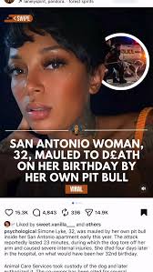 Rowdy Rebel and @jonjon_thadogtrainer having a wrastle. I got a bunch of  new followers who are gonna ask so ill mention it again. He is 50% pit  bull, 1/4 dutch shepherd, 1/4