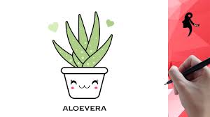 How To Draw Aloe Vera Youtube Aloe vera is not difficult to grow and maintain no matter if it is plantedindoors or as a potted plant. how to draw aloe vera
