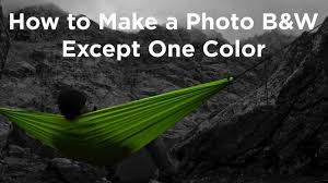 Black And White Picture With One Color Photoshop How To Make A Photo B W Except One Color In Photoshop Photo B Photoshop One Color