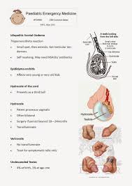 Image result for balanoposthitis