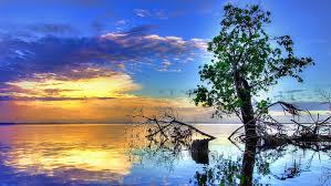 If you're looking for the best full hd wallpapers 1080p then wallpapertag is the place to be. Hd Wallpaper 1080p Nature Hd Images 1920x1080 Water Sky Tree Beauty In Nature Wallpaper Flare