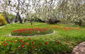 Die billigste ist per bus und kostet 12€. Tulipan In The Britzer Garten Grun Berlin