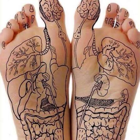 foot pressure points diagram chart