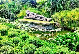 We're here to to serve and nurture the local yoga community. Yoga Garden Stock Photo Picture And Royalty Free Image Image 21397374