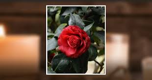 Janet E. Keim Obituary December 9, 2024