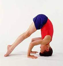 See more ideas about gymnastics, gymnastics handstand, gymnastics skills. Headstand Gymnastics Coaching Com