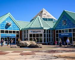 We did not find results for: 97 Things To Do In St Louis In 2020