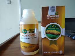 Pin Di Jelly Gamat Qnc