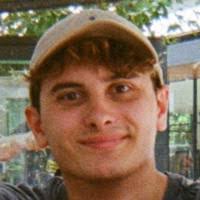 70+ 'Birch' profiles