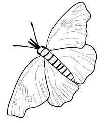 Free flowers and butterflies coloring pages are a fun way for kids of all ages to develop creativity focus motor skills and color recognition. 40 Free Printable Butterfly Coloring Pages