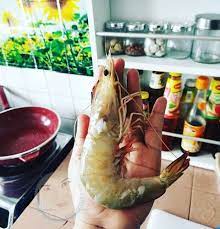 Arti mimpi danau sangat besar dan luas. Mimpi Dapat Ikan Udang Banyak Mimpiri