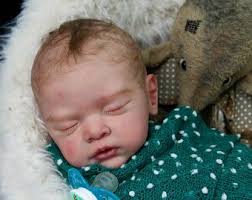 Shaylen Maxwell 2024