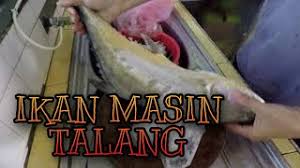 Kawan saya rosnani mengirimkan beberapa ekor ikan terubuk masin dari sarawak. Cara Membuat Ikan Talang Masin Youtube
