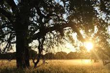 Natural and Cultural History Walk at Cosumnes River Preserve