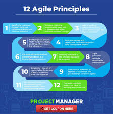 12 Agile Principles In 2020 Agile Project Management Templates Agile Project Management Agile Software Development