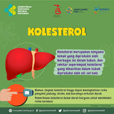 Apa Itu Kolesterol Direktorat P2ptm