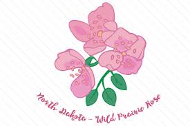 Download State Flower North Dakota Wild Prairie Rose Svg Cut File By Creative Fabrica Crafts Creative Fabrica SVG Cut Files