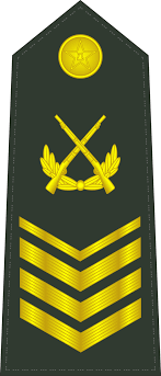 Master Sergeant 1st Class Rank Insignia Shoulder Board Dress Uniform Contemporary People S Liberation A People S Liberation Army Military Insignia Insignia