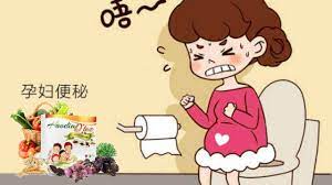 孕妇在怀孕期间 体内的黄体素分泌会大量增加 使得肠道内的平滑肌变得松弛 导致肠道蠕动减慢 大肠会增大水分的吸收 造成孕妇 的粪便变硬 变硬的粪便不易排出 从而引起孕妇便秘 这就是为什么不止喝多水 更少不了