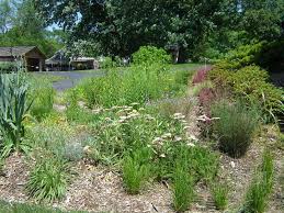 Enjoy a backyard koi pond or water garden. Garden Design