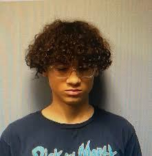 UPDATE: Zien has been located and is safe.** MISSING ENDANGERED The Lansing  Police Department is looking for 14-year-old Zien Roeglin. He was last seen 