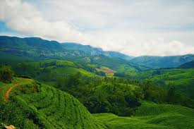 Kerala9.com is a online portal that brings breaking & latest current news headlines and updates from kerala on current affairs, movies, festivals & events. Highest Peaks In Kerala 2020 The Ultimate Guide To Kerala