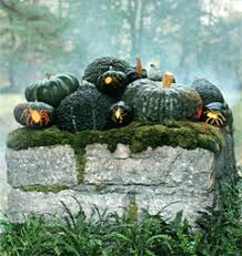As it ages, the dark green turns to buff orange. Is There A Black Pumpkin