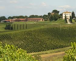 Risultati immagini per logo tenuta del cerro