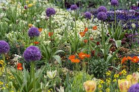 Die Bundesgartenschau 2019 Ist In Heilbronn Bluhendes Leben Die Bundesgartenschau Heilbronn 2019 Sie Ist Die Erste Buga Bundesgartenschau Heilbronn Garten