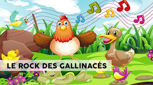 Les gamins comme les loubards. Le Rock Des Gallinaces Chansons Pour Enfants Sur Hugolescargot Com