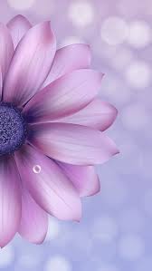 Maybe you would like to learn more about one of these? Es Geht Nicht Darum Ob Du Fies Bist Sondern Eher Mehr Ob Wir Zueinander Passen Flower Iphone Wallpaper Purple Wallpaper Phone Flower Phone Wallpaper