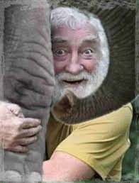 Butterfly guys: Three alleged murders among five recent deaths of note