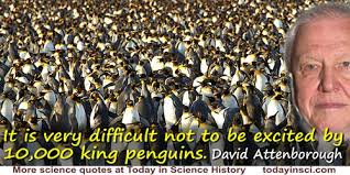 These are the best examples of penguin quotes on poetrysoup. Penguin Quotes 4 Quotes On Penguin Science Quotes Dictionary Of Science Quotations And Scientist Quotes