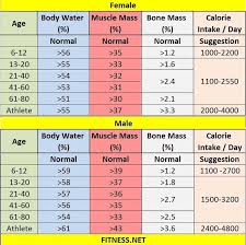 Body Composition Charts Lamasa Jasonkellyphoto Co