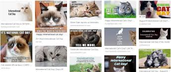 In tutto il mondo questa ricorrenza è fissata per la giornata odierna ma l'italia ha deciso di omaggiare il felino il 17 febbraio dopo un sondaggio effettuato da una rivista. 24zampe Oggi E La Giornata Mondiale Del Gatto L Animale Piu Social
