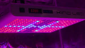 Kind Led Pro Grow 750 Led Grow Light Review Youtube