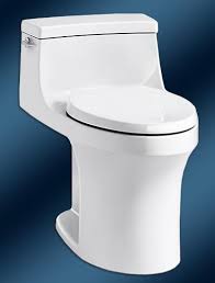 The resource to the url or file is currently unavailable.; Kohler San Souci Toilet Repair Parts